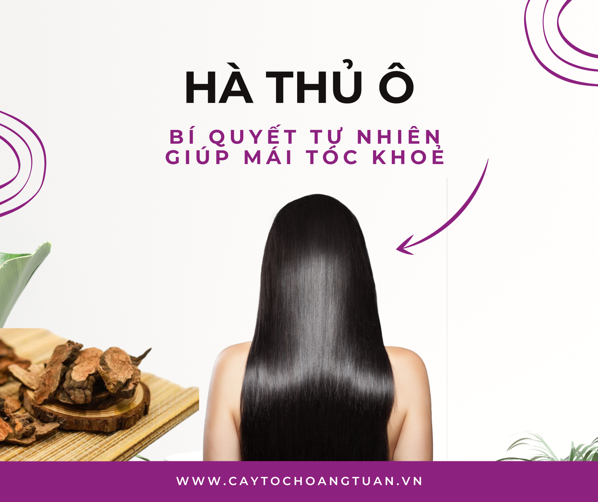 Hà thủ ô mọc tóc