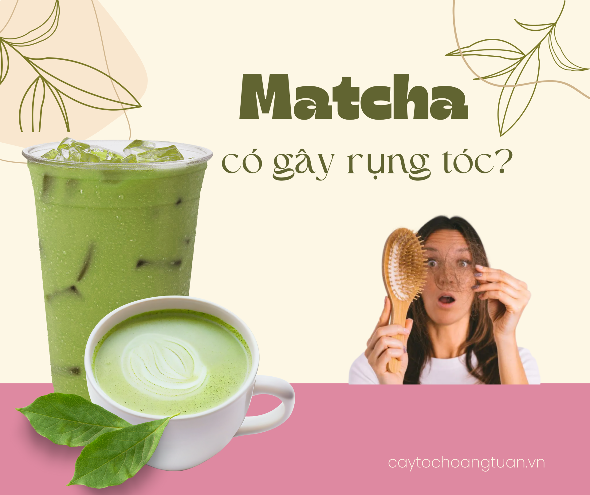 Uống matcha có bị rụng tóc không