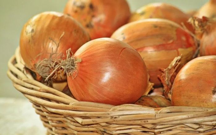 Tác dụng của hành tây trong trị hói đầu