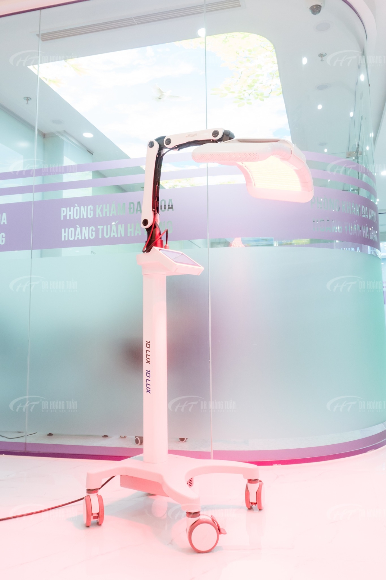 Tăng Sinh Mầm Tóc