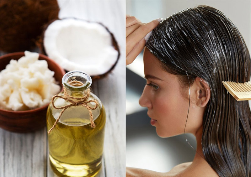 Hướng dẫn trị hói đầu bằng dầu dừa